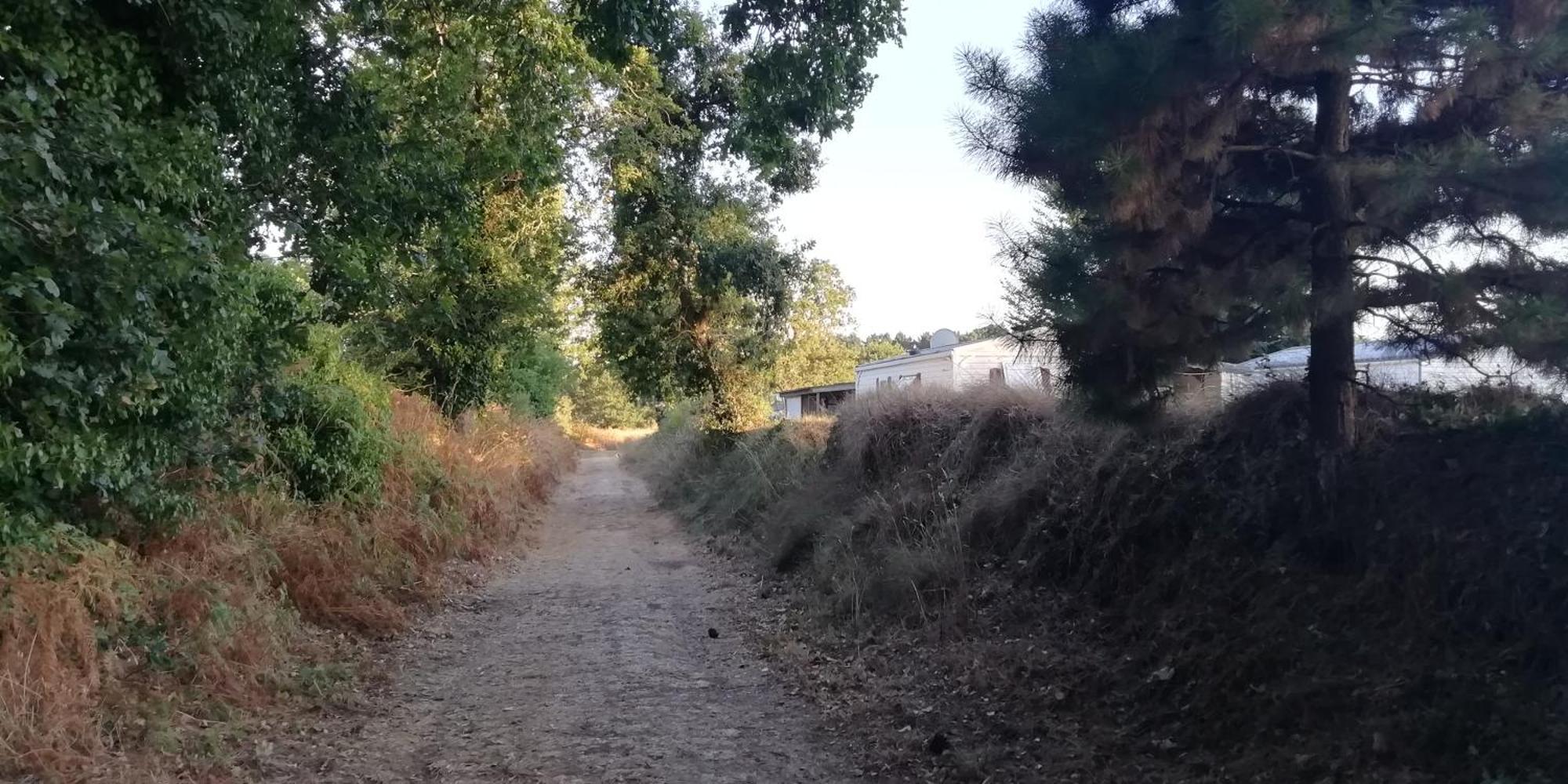Camping Des Pierres Debout Névez Kültér fotó